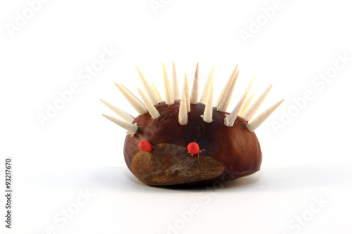 Kastanienigel