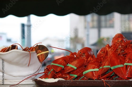 Photography Lobster at Fisherman's Wharf in San Francisco, USA