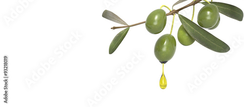 olive branch with oil drop photo