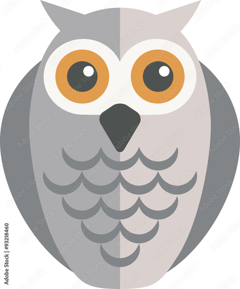 Obraz premium Owl