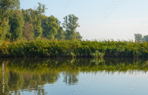 Shore of a hazy sunny lake in autumn