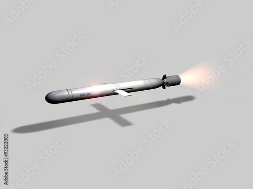 Missile Cruise Tomahawk photo