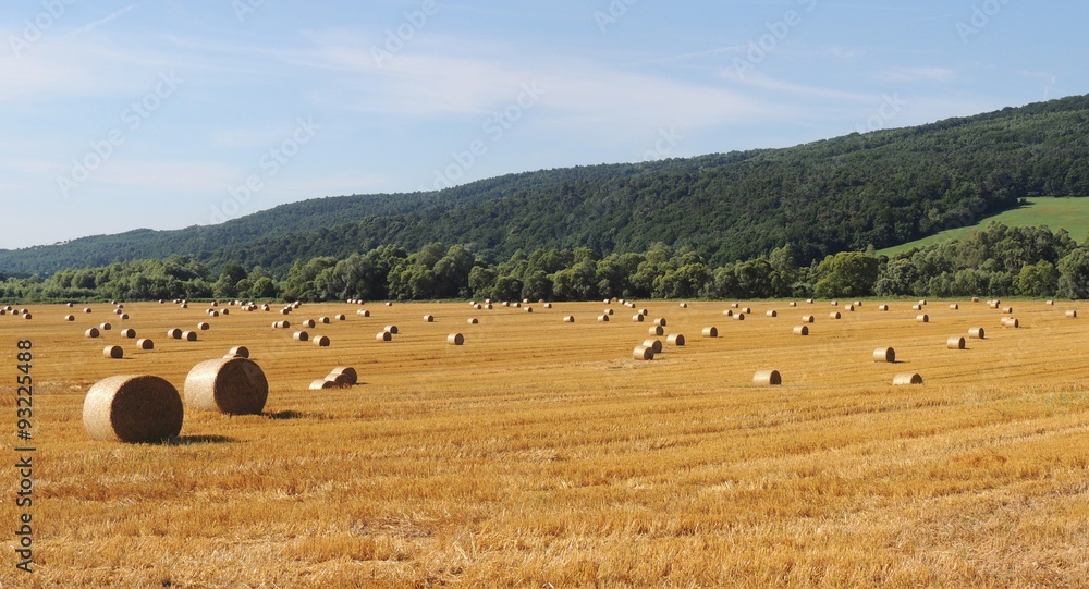 Obraz premium Slovakian countryside