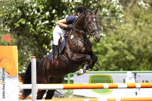 Horse and rider in jump course