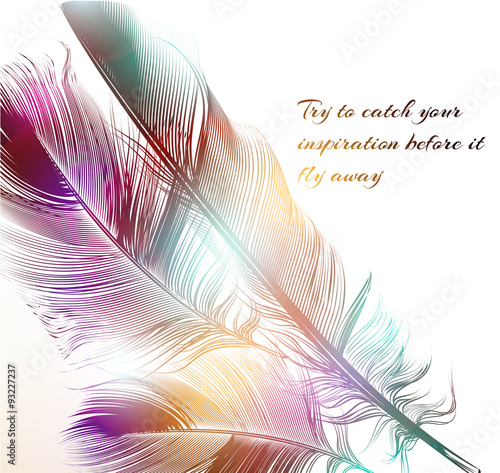 Vector illustration with engraved feathers conceptual background