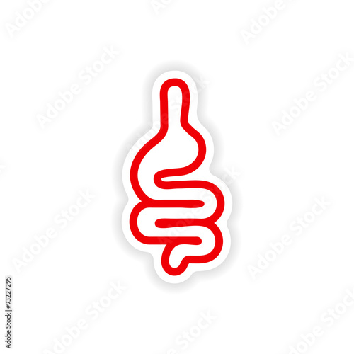 paper sticker on white background human intestine