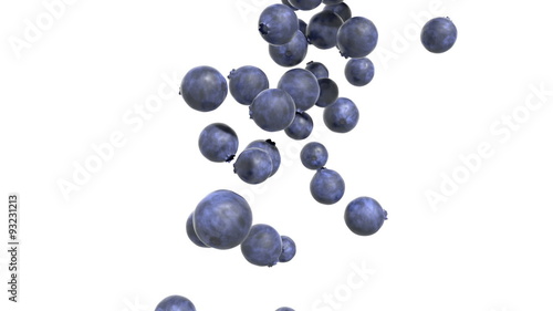Blueberry Cascade - White Background.