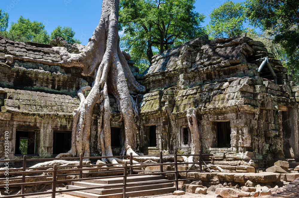 Naklejka premium Ta Prohm Temple, Siem Reap,Cambodia