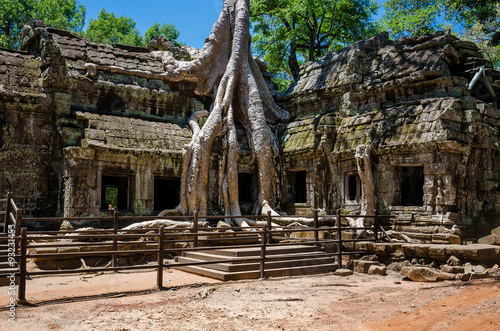 Ta Prohm Temple, Siem Reap,Cambodia