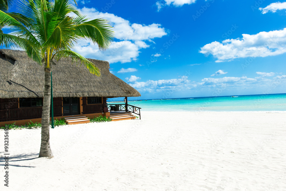 beach in Maldives beach in Maldives