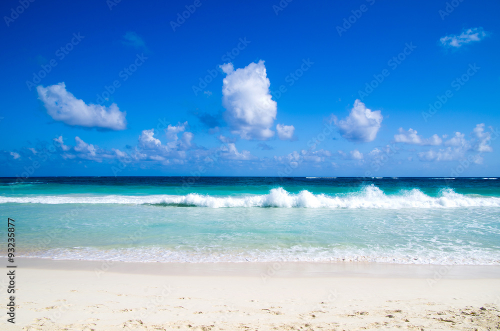 Fototapeta premium beach and tropical sea