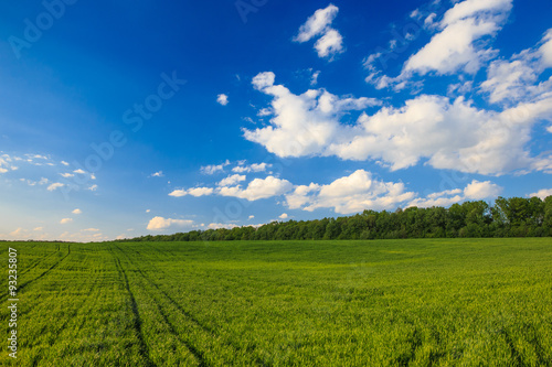 green field