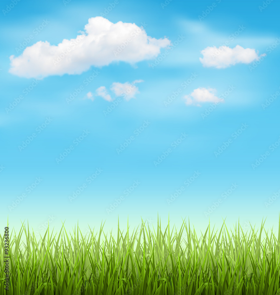 Green Grass Lawn with Clouds on Light Blue Sky Green Grass Lawn with Clouds on Light Blue Sky