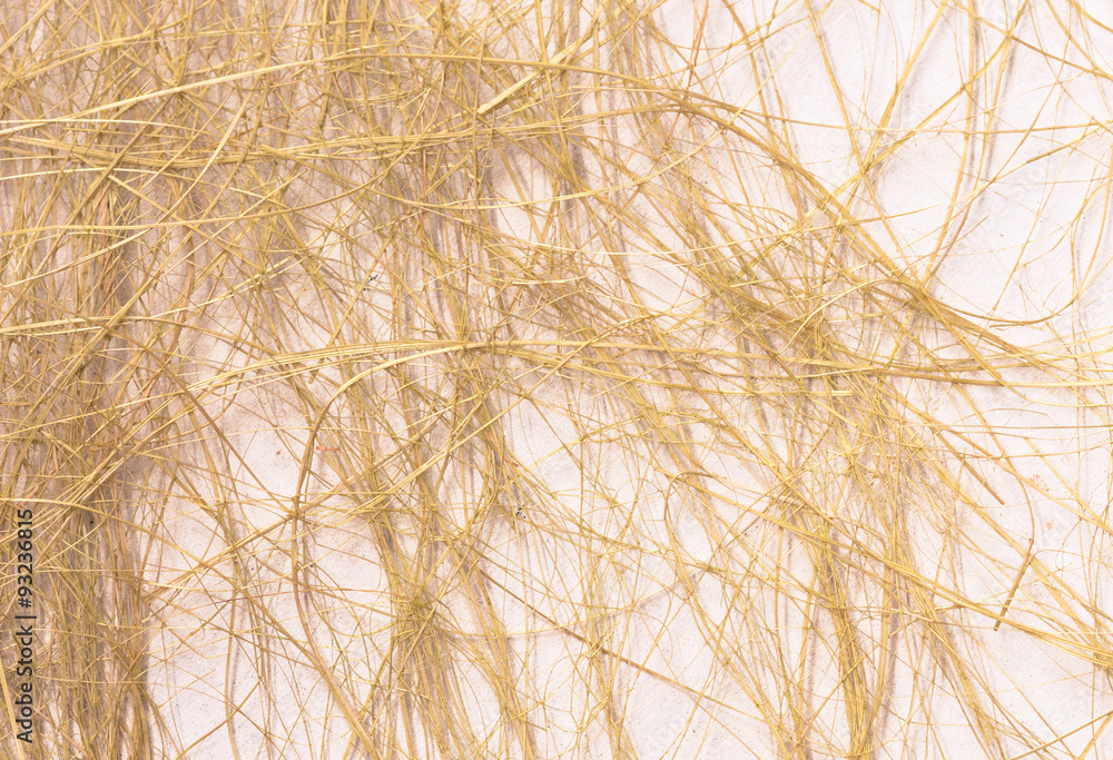 Obraz premium wood chips