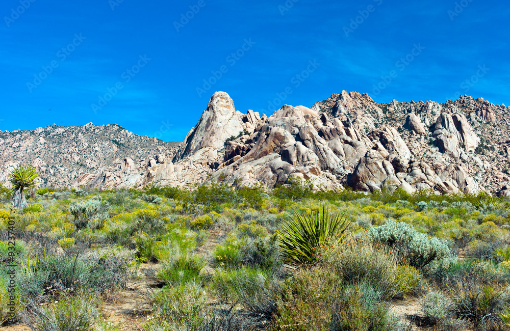 U.S.A. California, the Mojave National Reserve near the Route 66