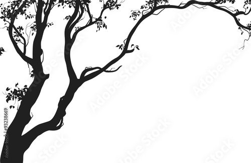 deciduous tree