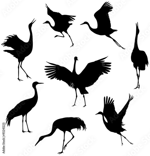 cranes