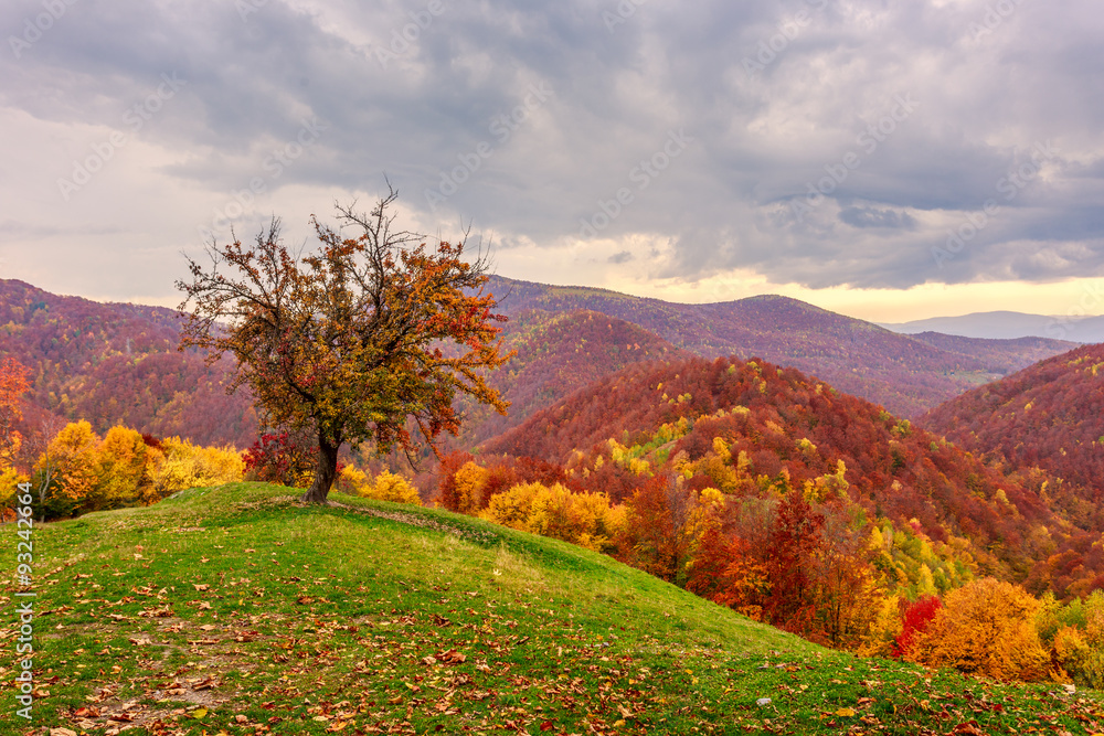 Colorful autumn landscape in the Carpathian mountains Colorful autumn landscape in the Carpathian mountains