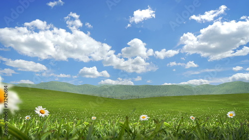 Grass and Flowers Blowing, Alpha Matte, Seamless Loop