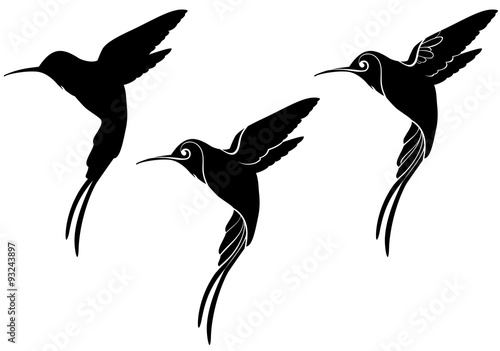 hummingbird