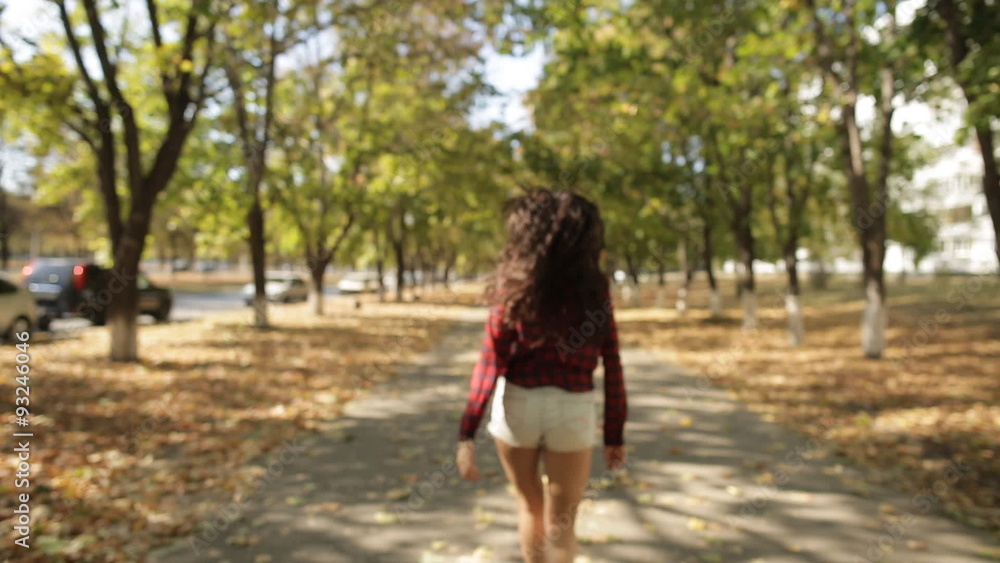 girl goes into the distance on an autumn alley girl goes into the distance on an autumn alley