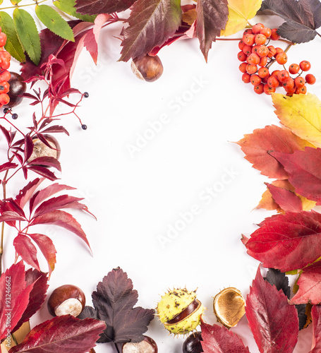 Obraz na płótnie Colorful leaves, rowanberries and chestnuts w salonie