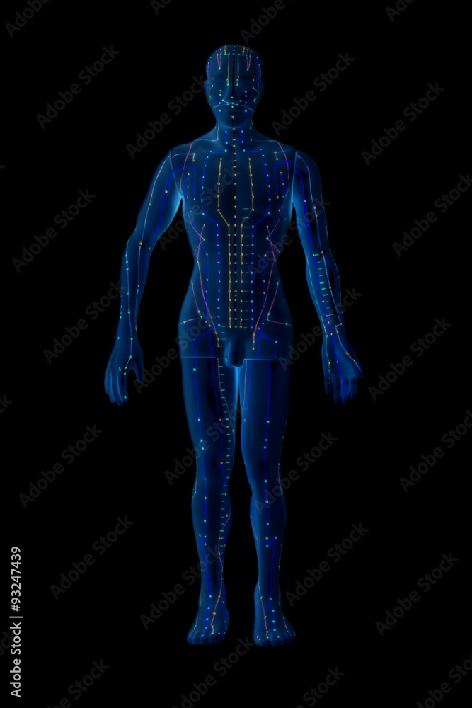 Medical acupuncture model of human Medical acupuncture model of human