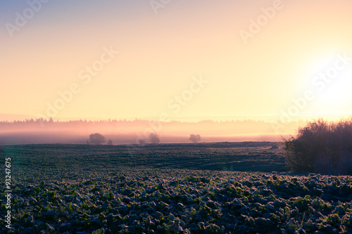 Misty sunrise over field. Foggy morning,