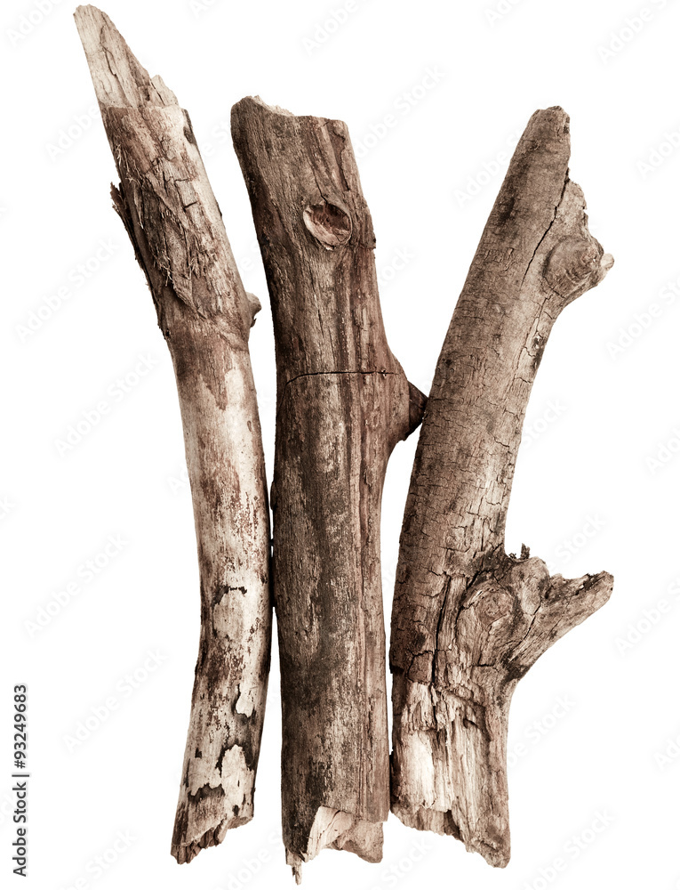 Naklejka premium Broken tree branches