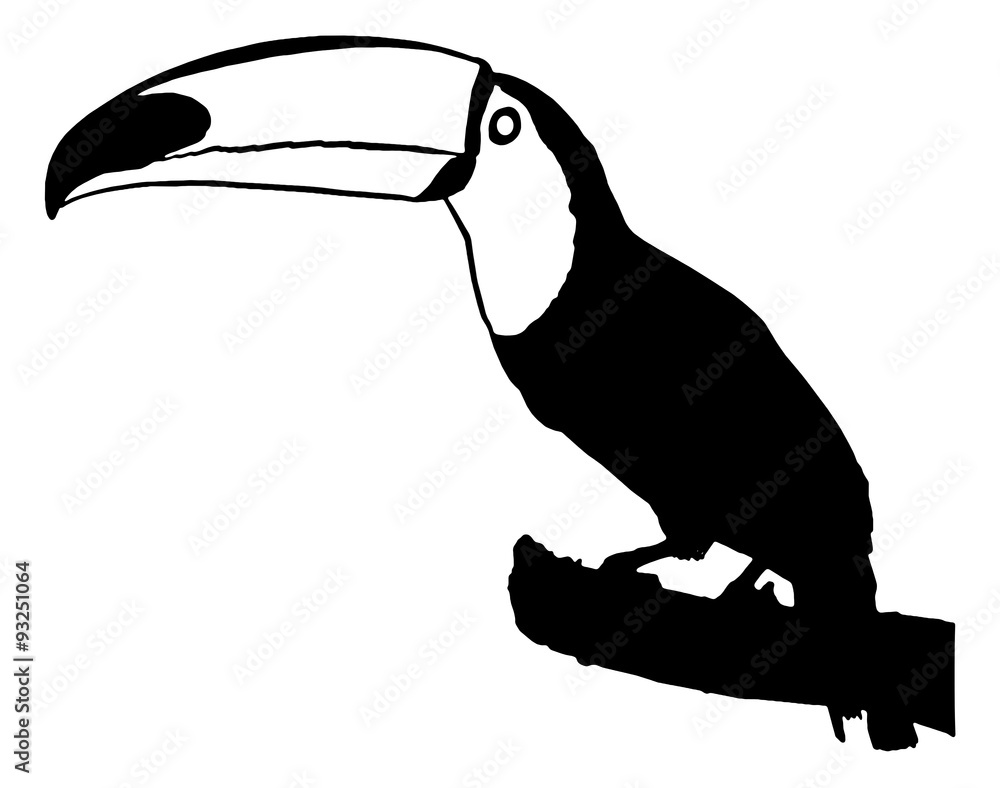 オオハシ Stock イラスト Adobe Stock