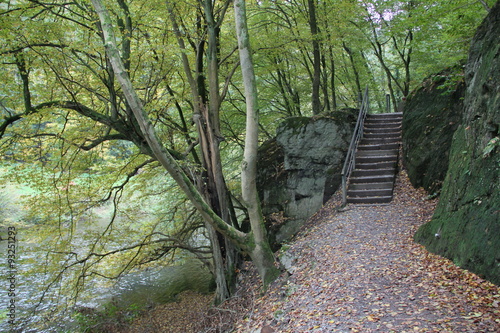 Wanderweg am Fluss mit Treppe photo