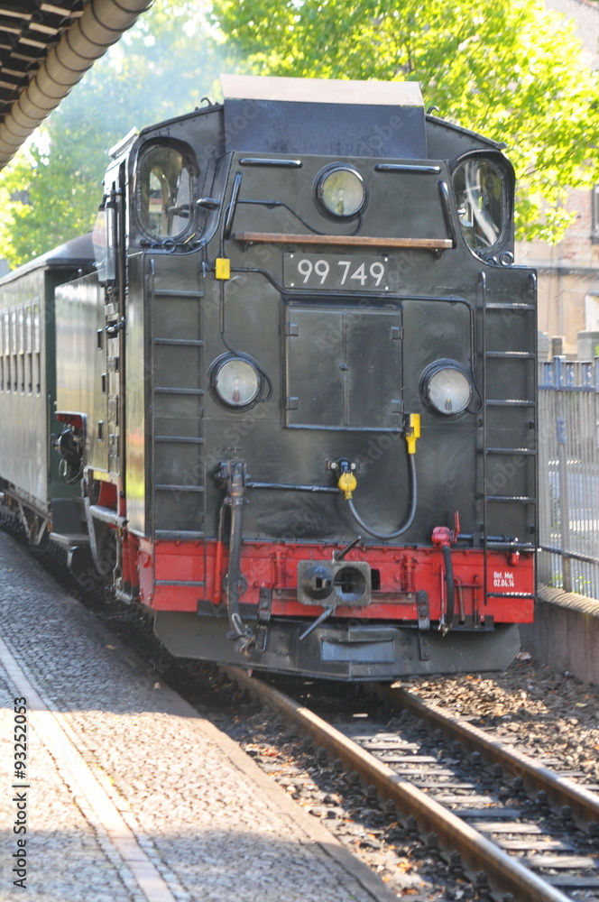 Fototapeta premium Zittauer Schmalspurbahn, #1142