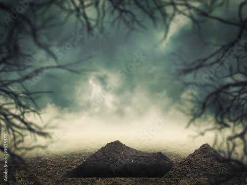 Obraz na płótnie Grave in the forest