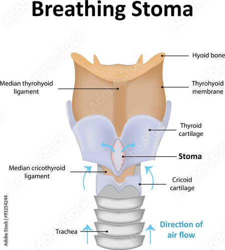 Breathing Stoma