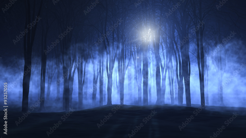 Obraz premium 3D foggy spooky forest