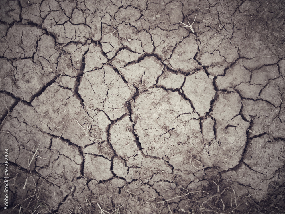 Fototapeta premium Cracked dry soil