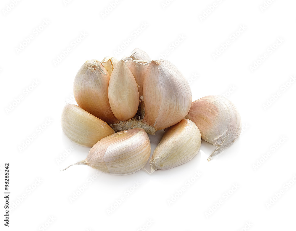 garlic isolated on whitebackground garlic isolated on whitebackground