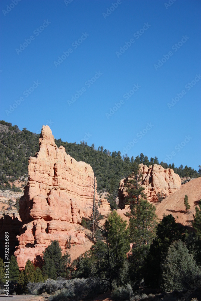 Hoodoos of Red Canyon Dixie National Forest, Utah USA