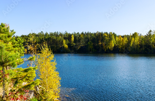 lake and autumn wood