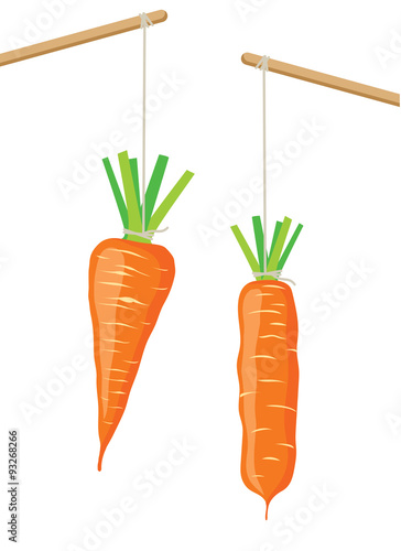 Carrot on a stick, two vector illustrations