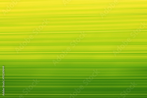 blurred green organic texture