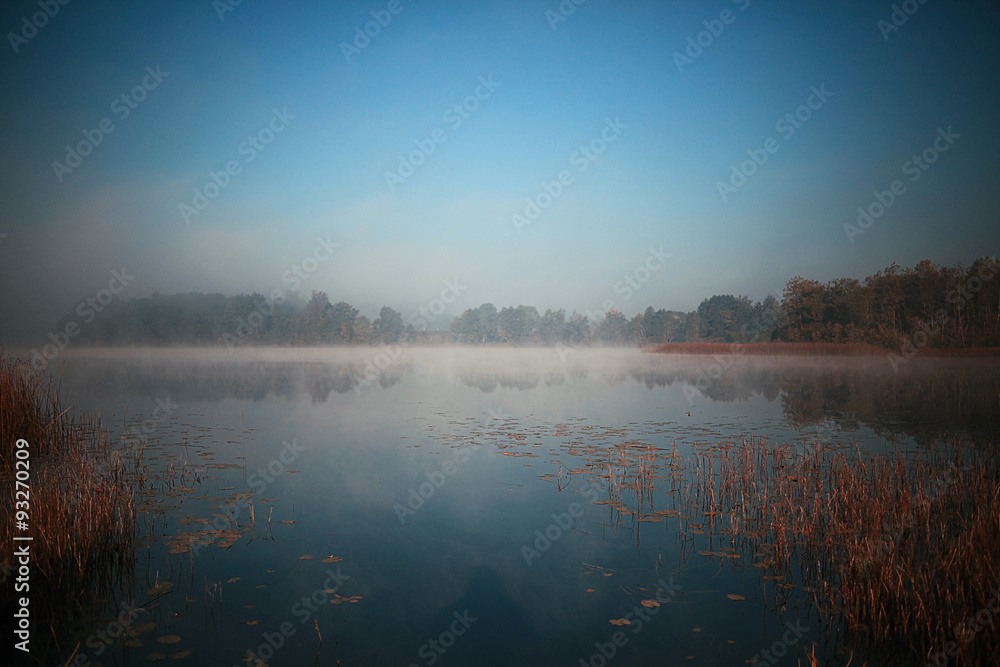 Fototapeta premium autumn landscape lake shore