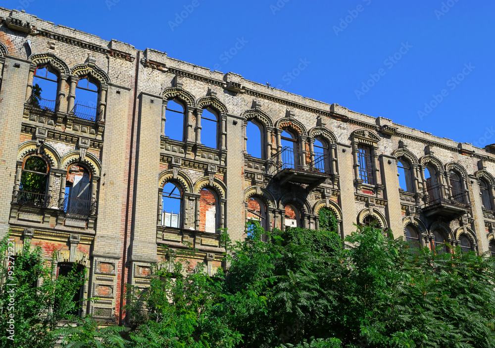 Obraz premium Dilapidated building in thicket