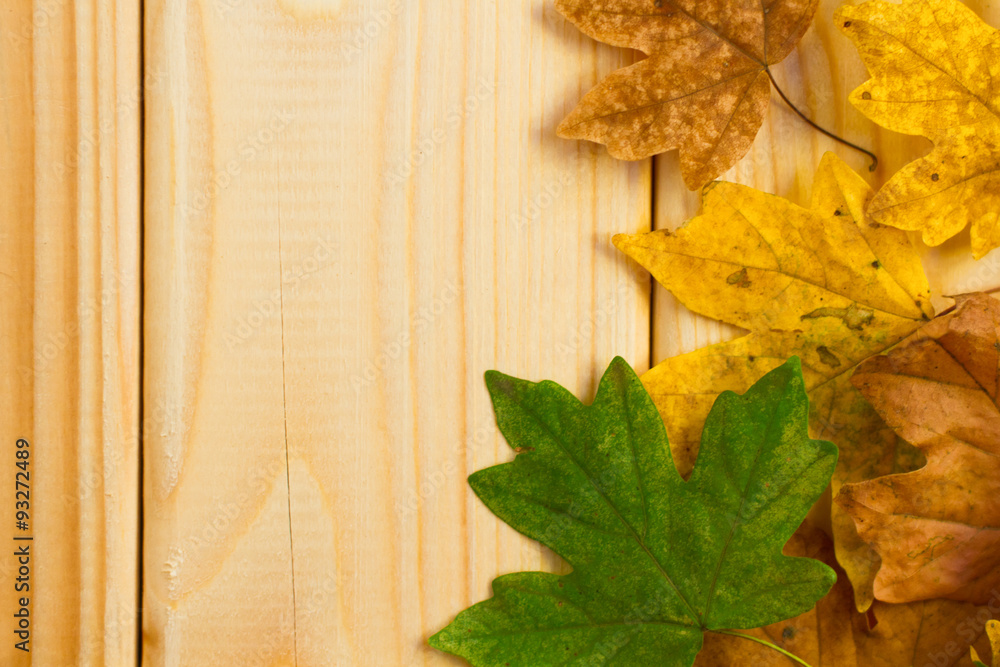 Autumn maple leaves over wooden background with copyspace Autumn maple leaves over wooden background with copyspace
