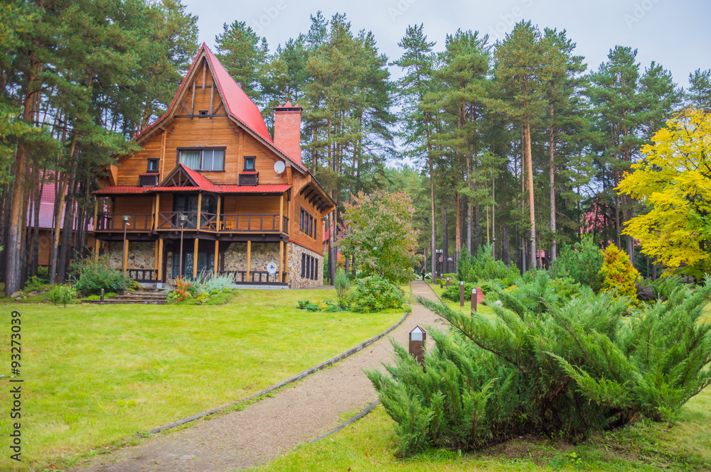 Naklejka premium Аллея в парке рядом с красивым домом