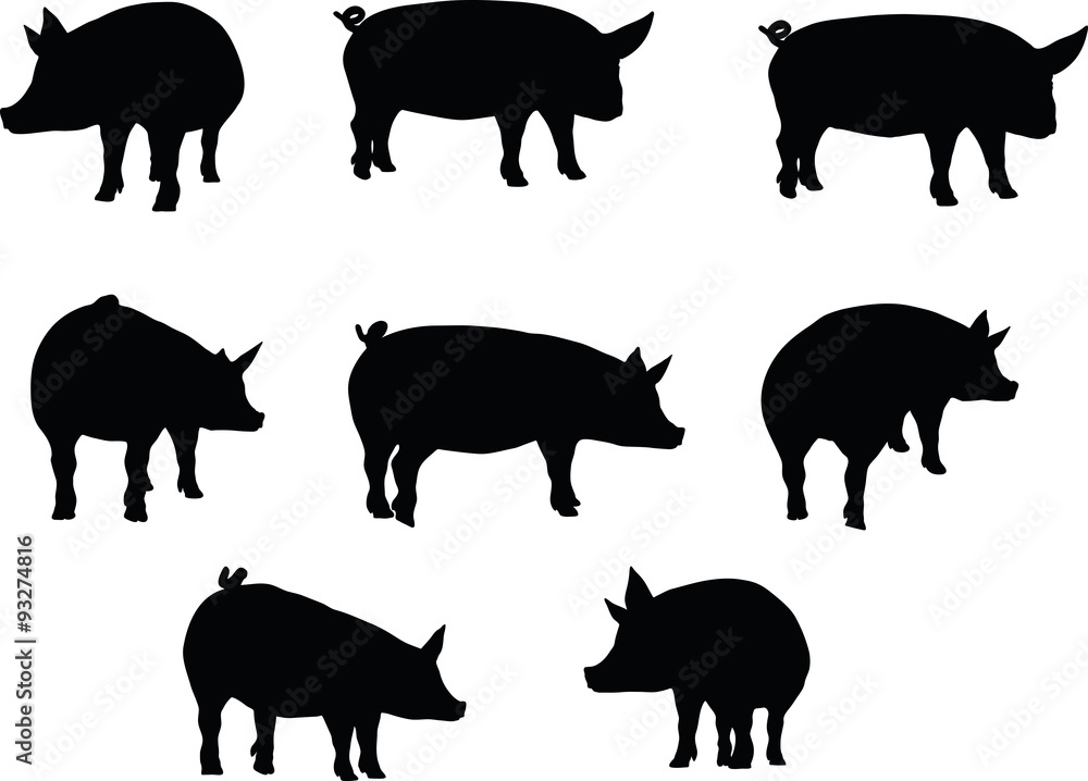 pig silhouette