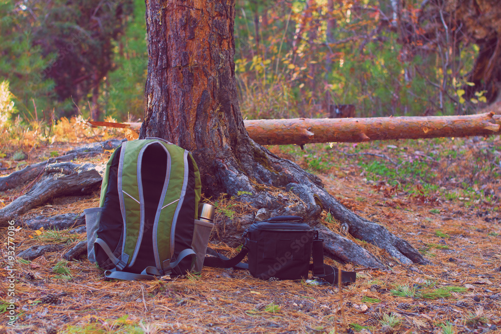 backpack and bag on ground in forest backpack and bag on ground in forest