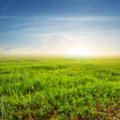 sunset over a green rural fields