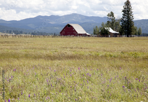Red farmhouse and barn in Nevada County, Idaho, summer,2015.