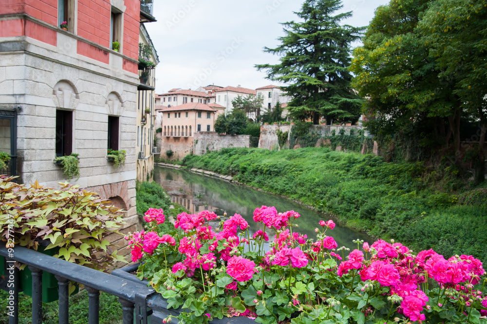 Flowered vase of geraniums in the balcony of San Paolo bridge and the old stone San Michele bridge in the background